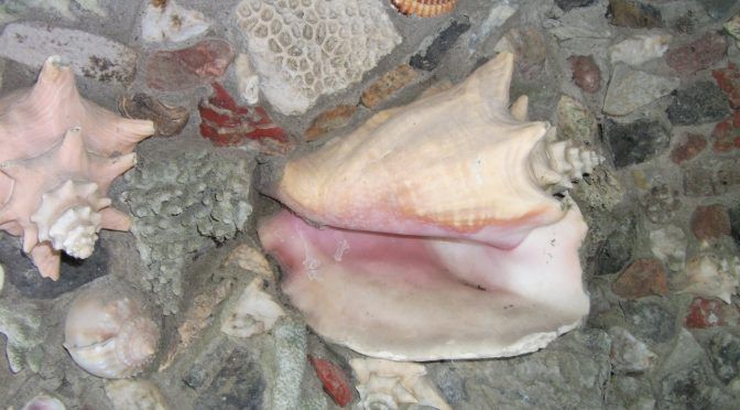 Schelpen Bewustzijn – deel 3