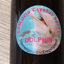 Dolphin Crystal Spray - Holy Spray voor Lichtwerkers: 100 ml incl MP3
