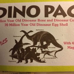 Fossiel Dinosaurus pakketje: 20x12 cm - Utah V.S.