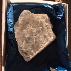 Mariaglas 7 - Hildegard von Bingen / Visstaart Zilver Seleniet: ±6.5x6.5x3 cm - LeMUria Regenboog Frequentie