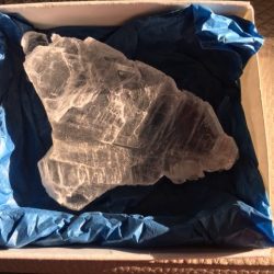 Mariaglas 8 - Hildegard von Bingen / Visstaart Zilver Seleniet: ±9x6x2.2 cm - LeMUria Regenboog Frequentie