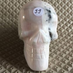 Mangano Calciet Skull 4 - met LeMUria Venus trilling
