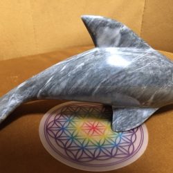 Aragoniet LeMUria Dolfijn - liggend XL 2 grijs