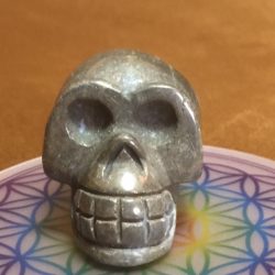 Pyriet Skull 10 - In contact met Inheemse Indianen