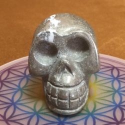 Pyriet Skull 11 - In contact met Inheemse Indianen