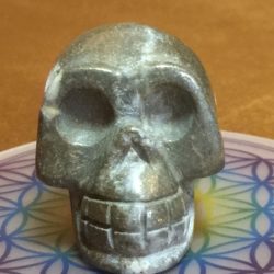 Pyriet Skull 14 - In contact met Inheemse Indianen