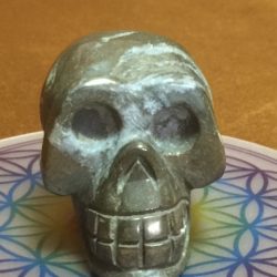 Pyriet Skull 8 - In contact met Inheemse Indianen