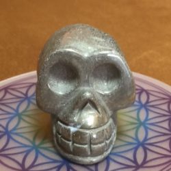 Pyriet Skull 9 - In contact met Inheemse Indianen