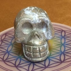 Pyriet Skull 6 - In contact met Inheemse Indianen