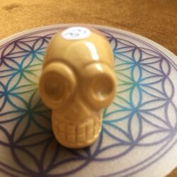 Mokaïet / Mookaïet / Australisch Jaspis Alien MINI Skull nr 16 - Databank voor Moederliefde!