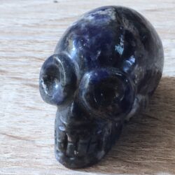Sodaliet Alien Mini Skull nr 1