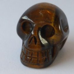 Tijgeroog Skull Mini 1 - afkomstig van het sterrenstelsel Andromeda