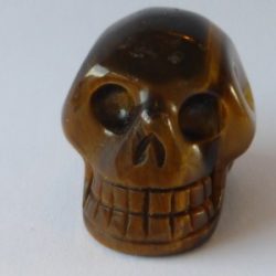 Tijgeroog Skull Mini 2 - afkomstig van het sterrenstelsel Andromeda