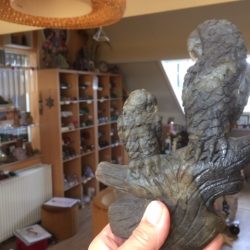 Labradoriet Papegaaien Tweeling: 17x12x4 cm - 748 gr = Maori Natuur Spirit 'Kea' van Bezieling & Wedergeboorte