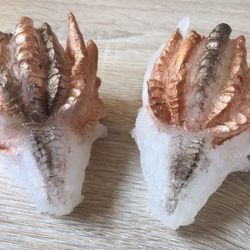 Seleniet Wit Uluru Drakin met Koperglans in kunsthars : Fijnbesnaard LeMUria Maria Magdalena Moederliefde - 11x7x6.5 cm - 300 gram