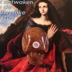 Goudsteen Brons - Goldflush Skull 7