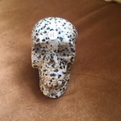 Dalmatiër Jaspis Skull 4