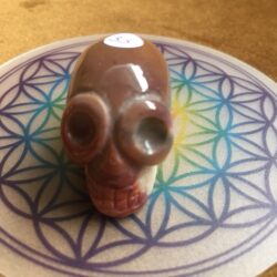 Mokaïet / Mookaïet / Australisch Jaspis Alien MINI Skull nr 13 - Databank voor Moederliefde!