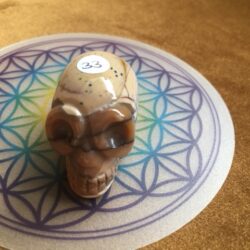 Mokaïet / Mookaïet / Australisch Jaspis Alien MINI Skull nr 15 - Databank voor Moederliefde!