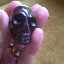 Mokaïet / Mookaïet / Australisch Jaspis Alien MINI Skull nr 6 - Databank voor Moederliefde!