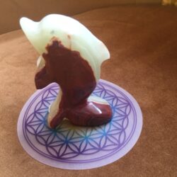 Aragoniet - Dolfijn 10