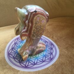 Aragoniet - Dolfijn 8