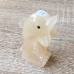 Aragoniet - Dolfijn 22