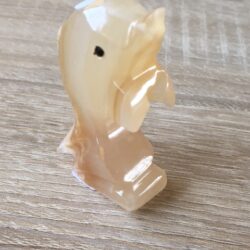 Aragoniet - Dolfijn 23