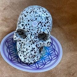 Dalmatiër Jaspis Skull L 8