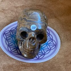 Tijgerijzer Skull 2 - uit Australië