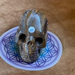 Tijgerijzer Skull 3 - uit Australië