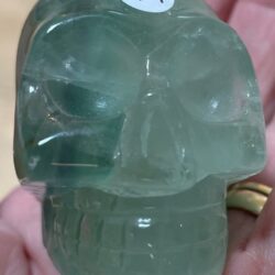 Fluoriet Skull 1