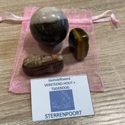 Versteend Hout Bol 3cm + Trommelsteen + Tijgeroog = SET: Aardend & Beschermend