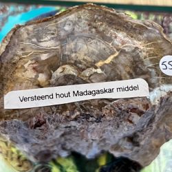 Versteend Hout Boomstammetje - Fossiel Hout nr 30: 4.5x7.5x9.5 cm - 634 gr - LeMUria Madagaskar