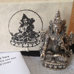 Messing Bodhisattva Witte Tara van een Lang & Gelukkig Leven: nr 3