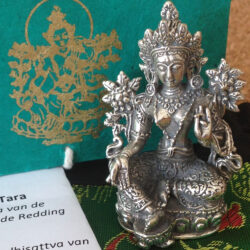 Messing Bodhisattva Groene Tara van Verlossing & Redding & Beschermer tegen 8 Grote Gevaren: nr 4