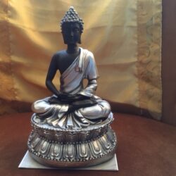 Ingewijde Dhyana Boeddha