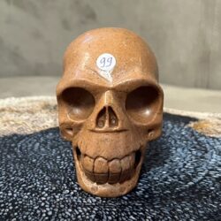 Versteend Hout Skull 11: Vertegenwoordigt het Oer geheugen van LeMUria via het ULURU NET VAN LICHT