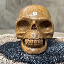 Versteend Hout Skull 14: Vertegenwoordigt het Oer geheugen van LeMUria via het ULURU NET VAN LICHT