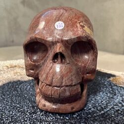 Versteend Hout Skull 15: Vertegenwoordigt het Oer geheugen van LeMUria via het ULURU NET VAN LICHT