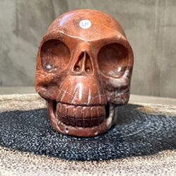 Versteend Hout Skull 16: Vertegenwoordigt het Oer geheugen via het ULURU NET VAN LICHT