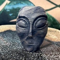 Blauwkwarts Alien Skull nr 1