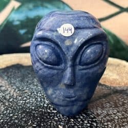 Blauwkwarts Alien Skull nr 2