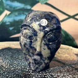 Sodaliet Alien Skull nr 4