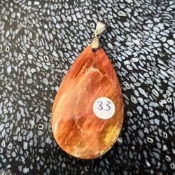Versteend Hout Hanger nr 7 - cabochon geslepen
