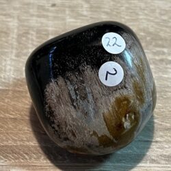 Versteend Hout Trommelsteen nr 2:  Ovaal ±5x4.5 cm - Madgaskar