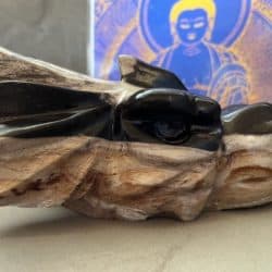 Versteend Hout - Uluru Moederdrakin XL 22 (17x10x8 cm - 1354 gr): ZE VERTEGENWOORDIGT HET OER GEHEUGEN VAN DE LEMURIA  STAMOUDSTEN