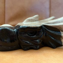 Versteend Hout - Uluru Moederdrakin XL 27 (17.5x9.5x8 cm - 1313 gr): ZE VERTEGENWOORDIGT HET OER GEHEUGEN VAN DE LEMURIA  STAMOUDSTEN