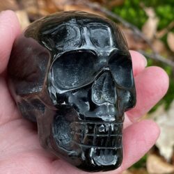 Zwart Goud Obsidiaan LeMUria Skull 1 = 7 cm: Zeta Reticuli -