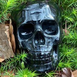 Zwart Goud Obsidiaan LeMUria Skull 2 = 7 cm: Zeta Reticuli